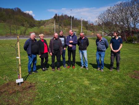 Saditev v KS Grobelno 